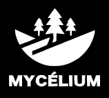 Mycélium